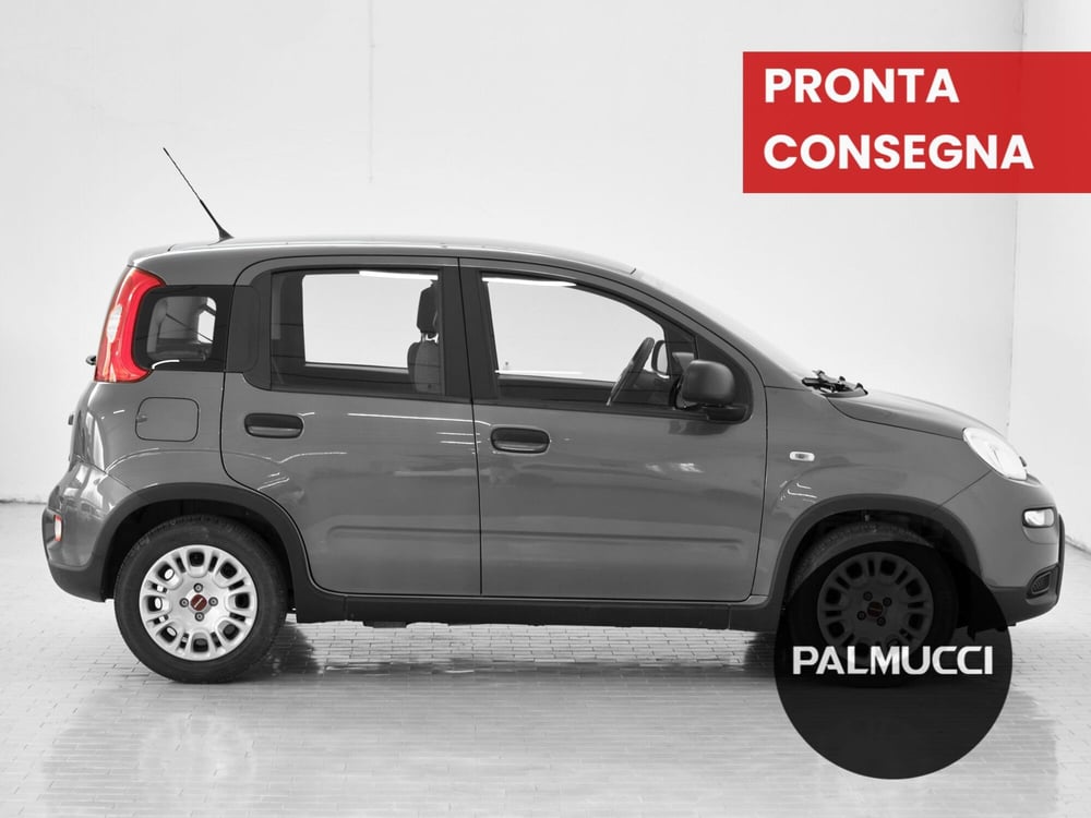 Fiat Panda Cross usata a Prato (3)