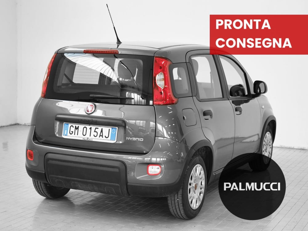 Fiat Panda Cross usata a Prato (4)