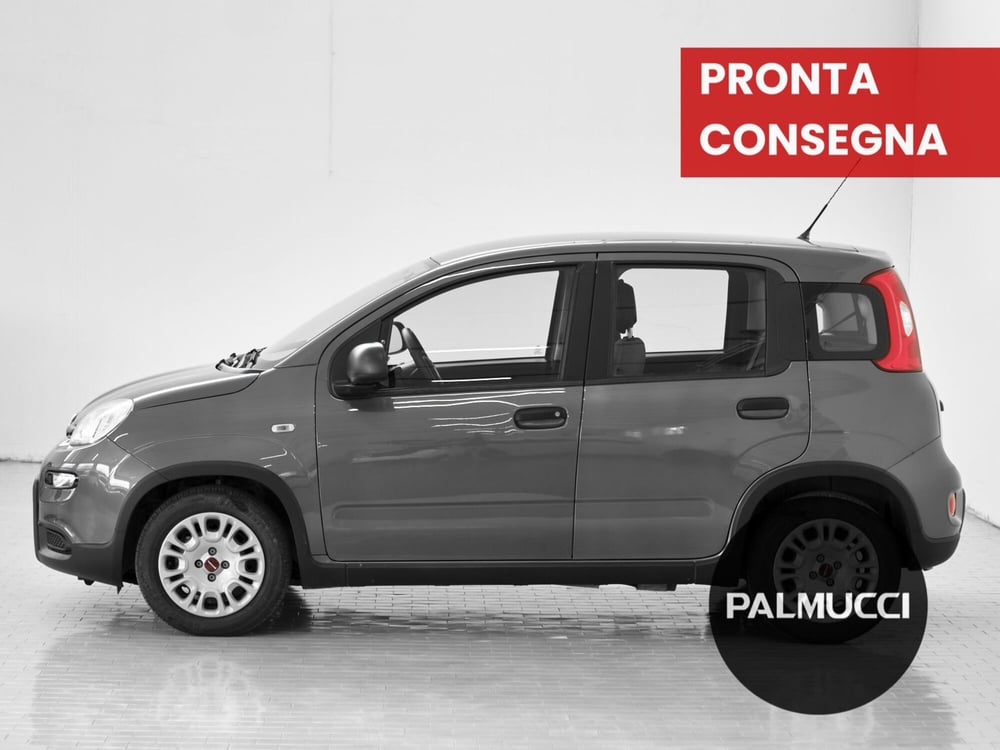 Fiat Panda Cross usata a Prato (5)