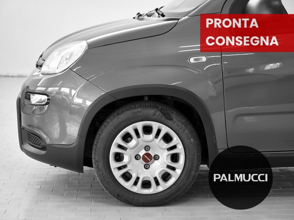 Fiat Panda Cross usata a Prato (6)