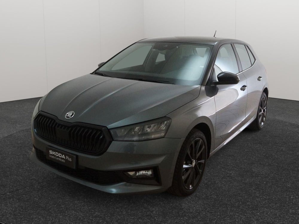 Skoda Fabia usata a Torino (3)
