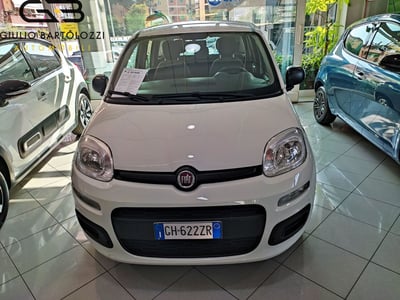 Fiat Panda 1.0 FireFly S&amp;S Hybrid City Cross del 2022 usata a Prato