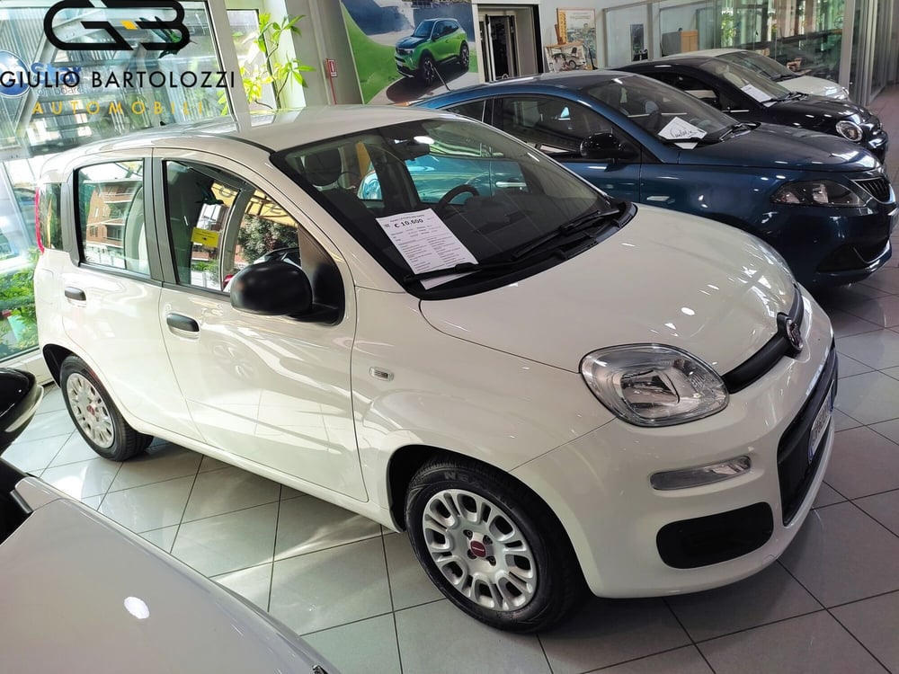 Fiat Panda usata a Prato (11)