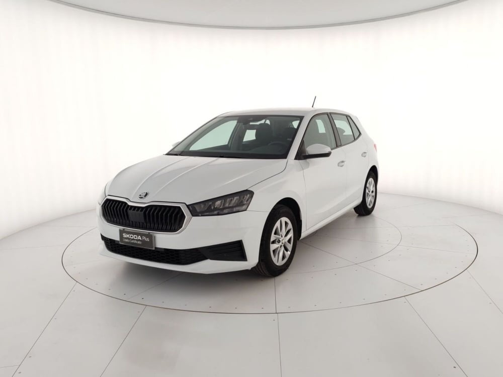 Skoda Fabia usata a Massa-Carrara