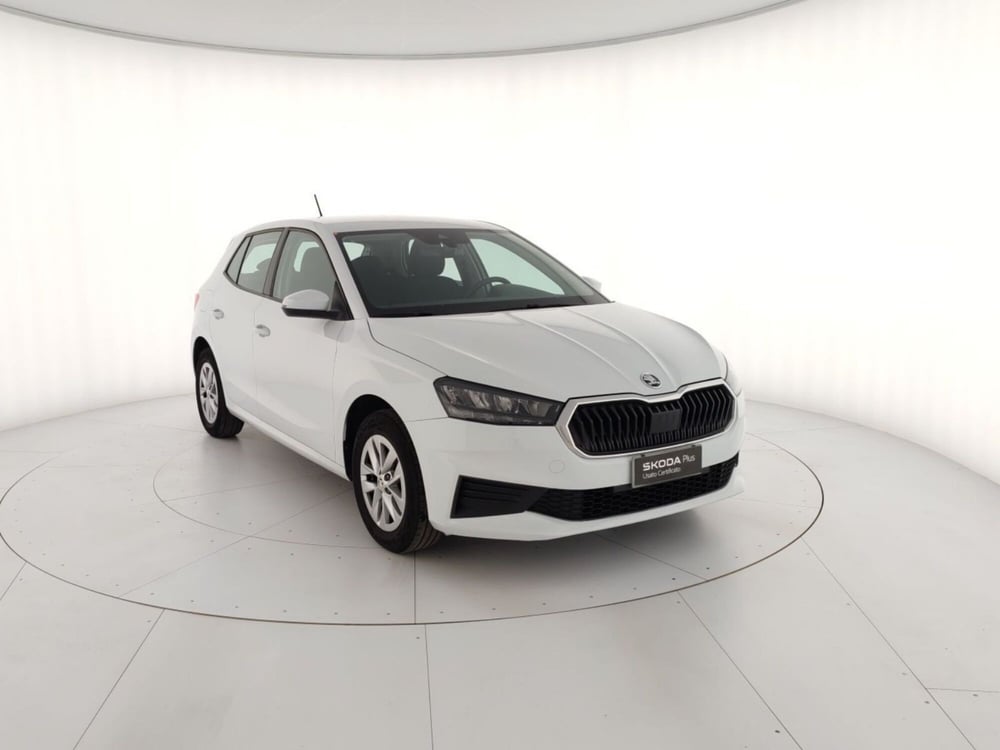 Skoda Fabia usata a Massa-Carrara (4)