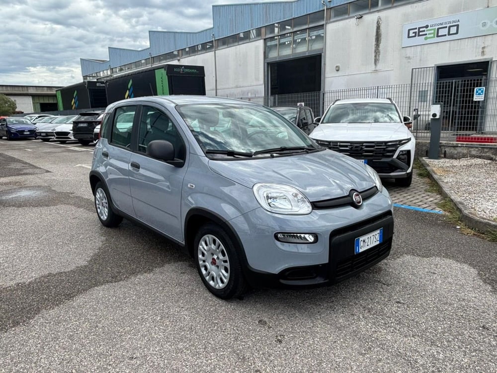 Fiat Panda Cross usata a Firenze (11)