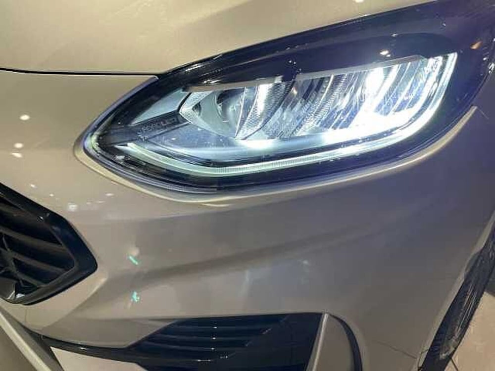 Ford Fiesta usata a Genova (15)