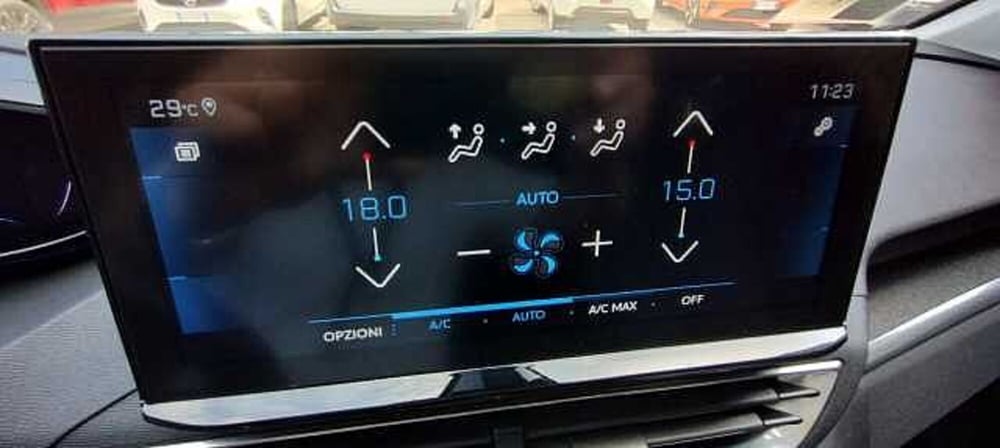 Peugeot 3008 usata a Viterbo (14)