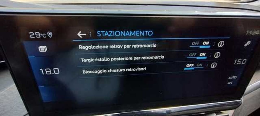 Peugeot 3008 usata a Viterbo (19)