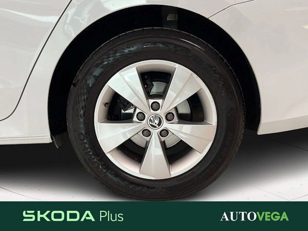 Skoda Octavia Station Wagon usata a Vicenza (15)