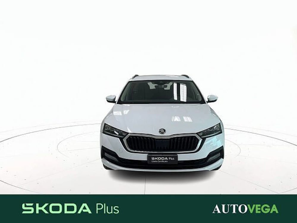 Skoda Octavia Station Wagon usata a Vicenza (2)