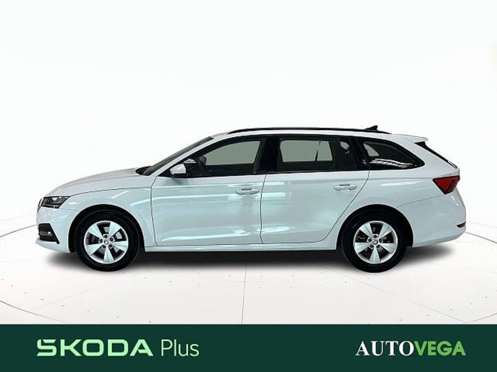 Skoda Octavia Station Wagon usata a Vicenza (3)
