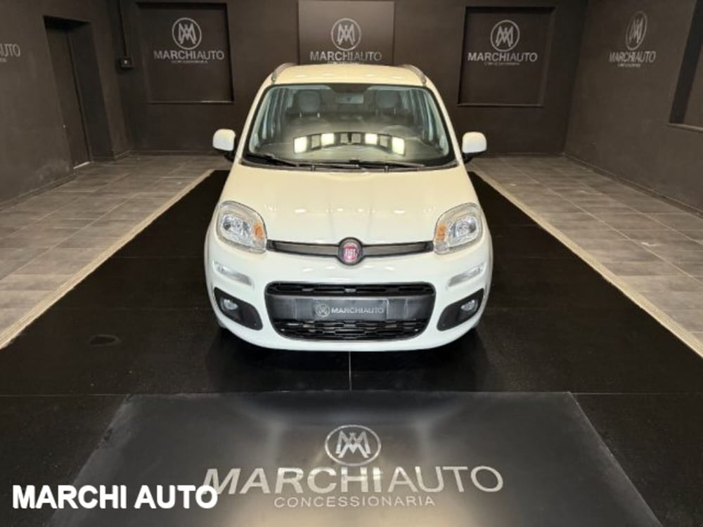 Fiat Panda usata a Perugia (2)