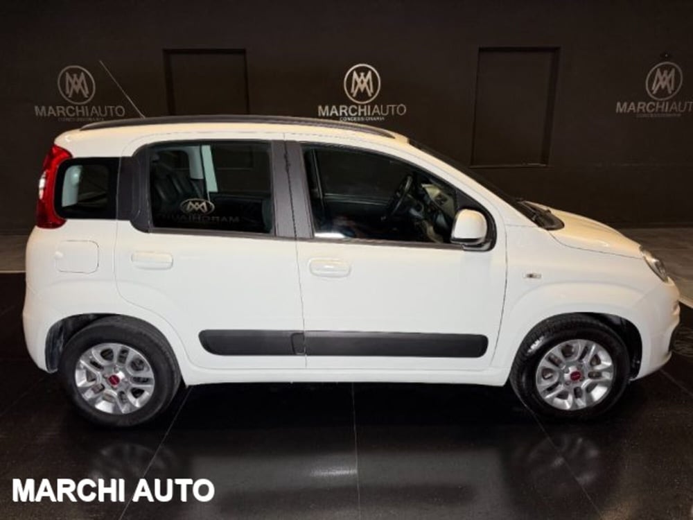 Fiat Panda usata a Perugia (4)