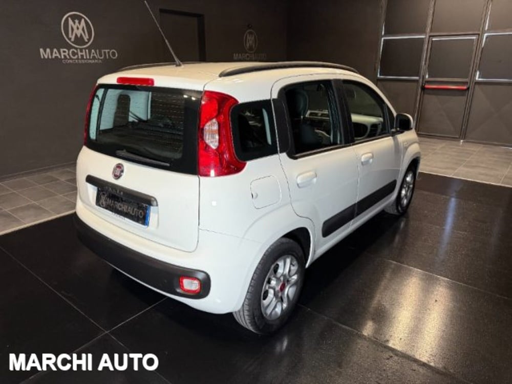 Fiat Panda usata a Perugia (5)