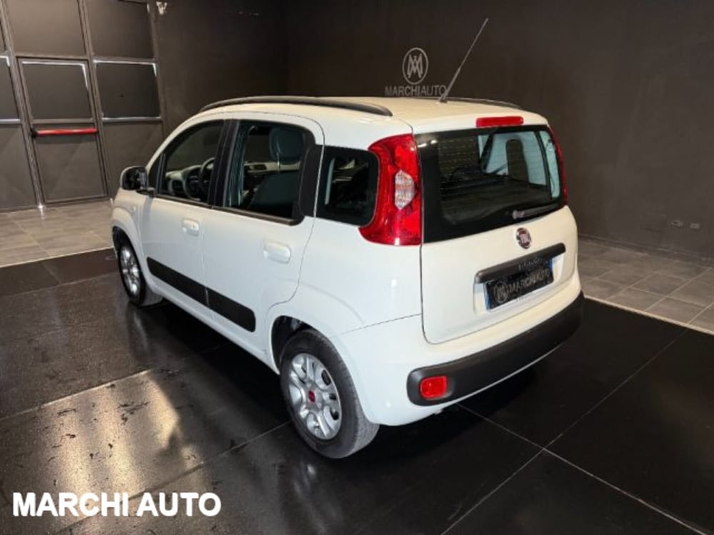 Fiat Panda usata a Perugia (7)
