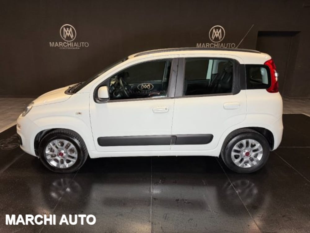 Fiat Panda usata a Perugia (8)