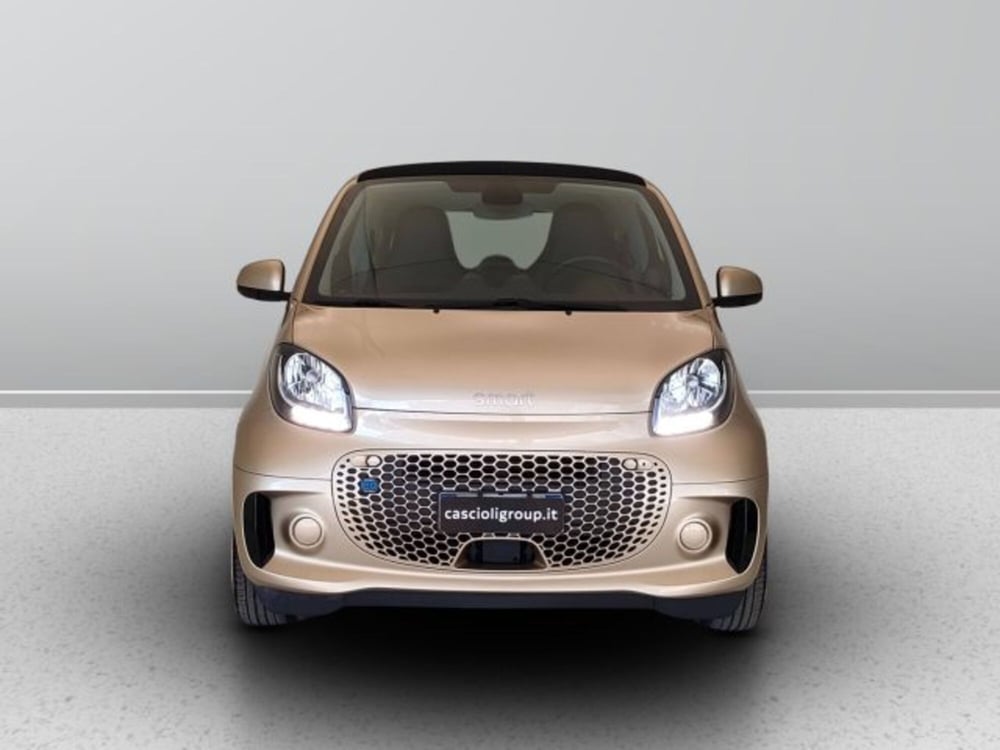 smart Fortwo usata a Teramo (2)