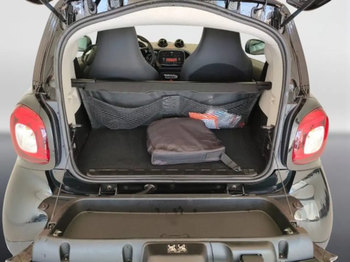 smart Fortwo usata a Teramo (5)