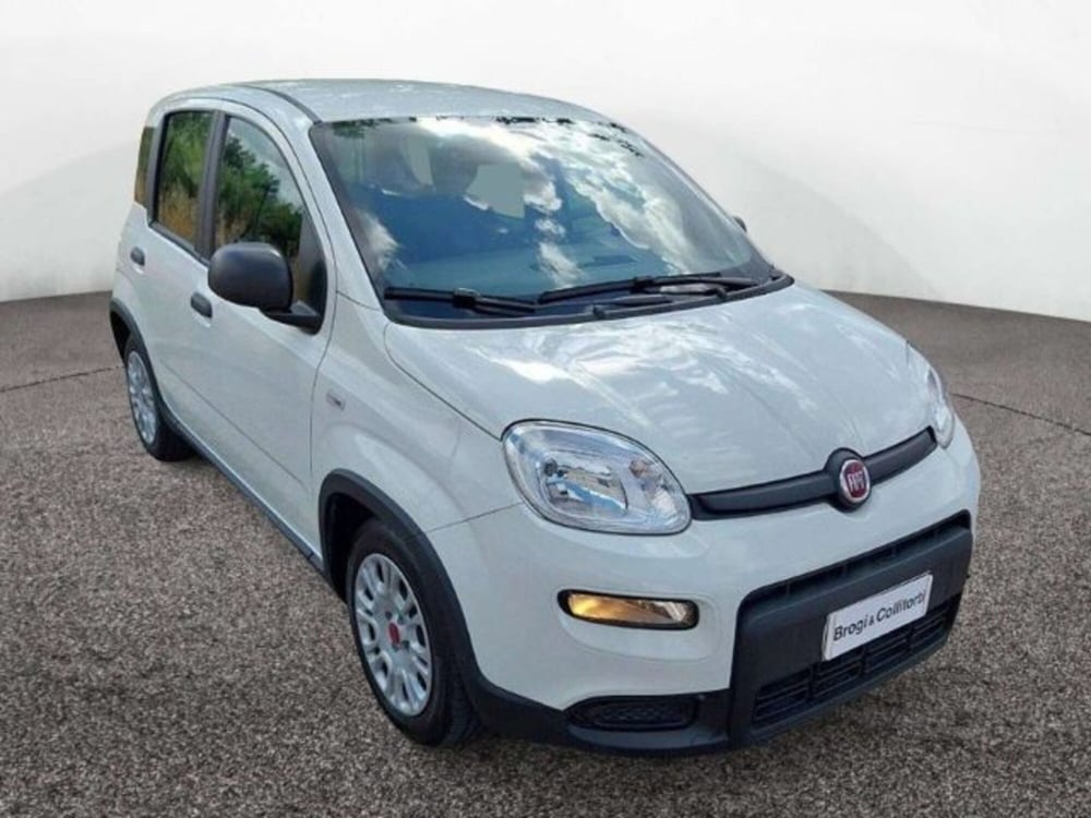Fiat Panda usata a Firenze