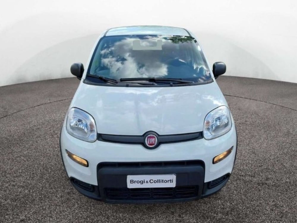 Fiat Panda usata a Firenze (2)
