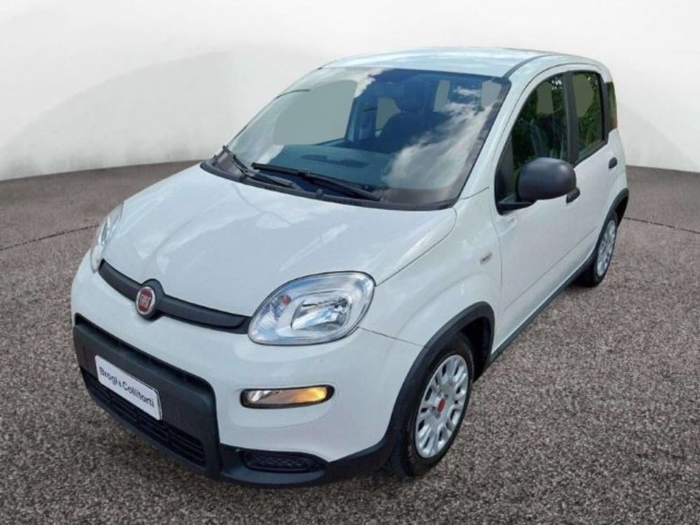 Fiat Panda usata a Firenze (3)