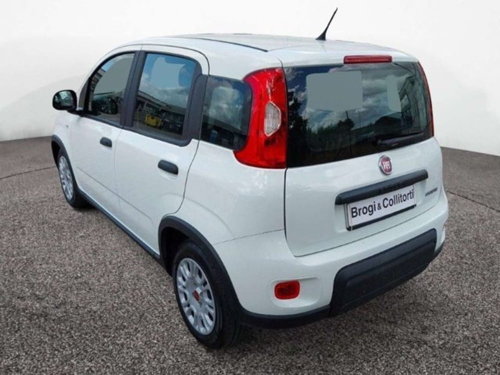 Fiat Panda usata a Firenze (4)