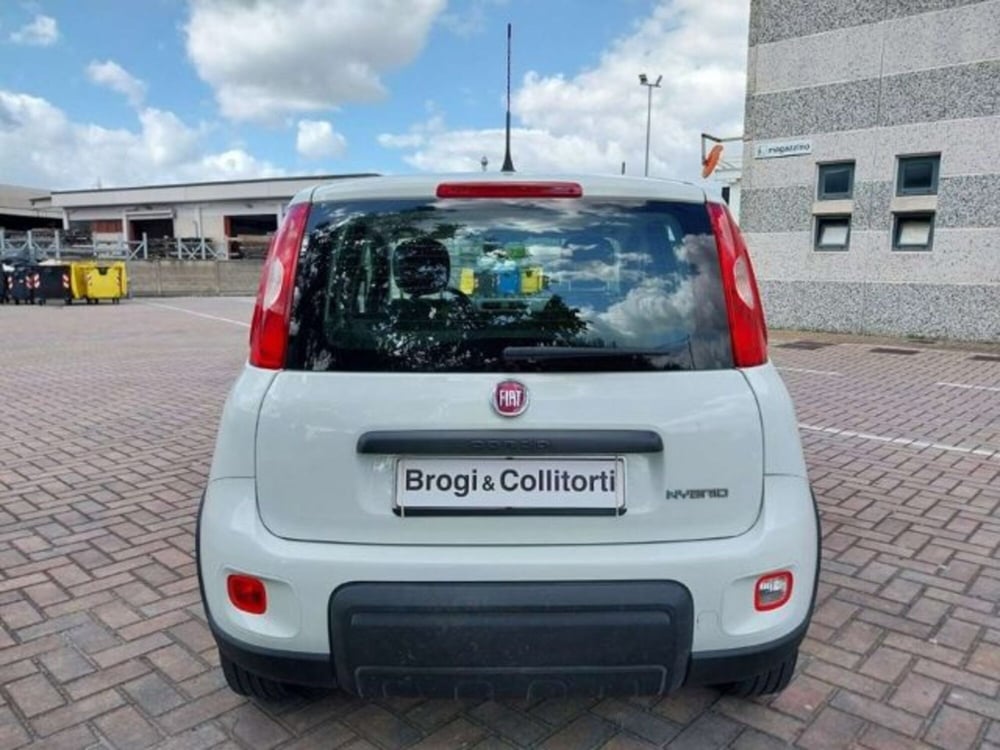 Fiat Panda usata a Firenze (5)