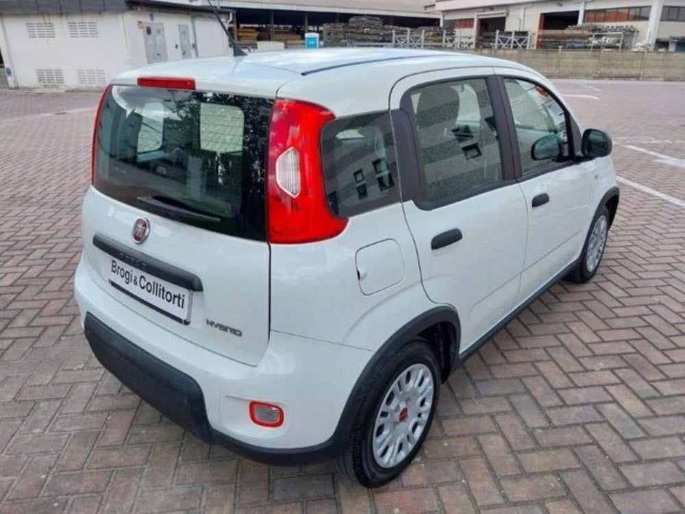 Fiat Panda usata a Firenze (6)