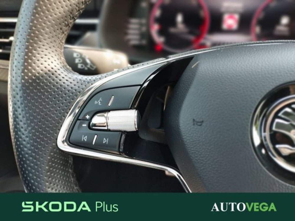 Skoda Kamiq usata a Vicenza (11)