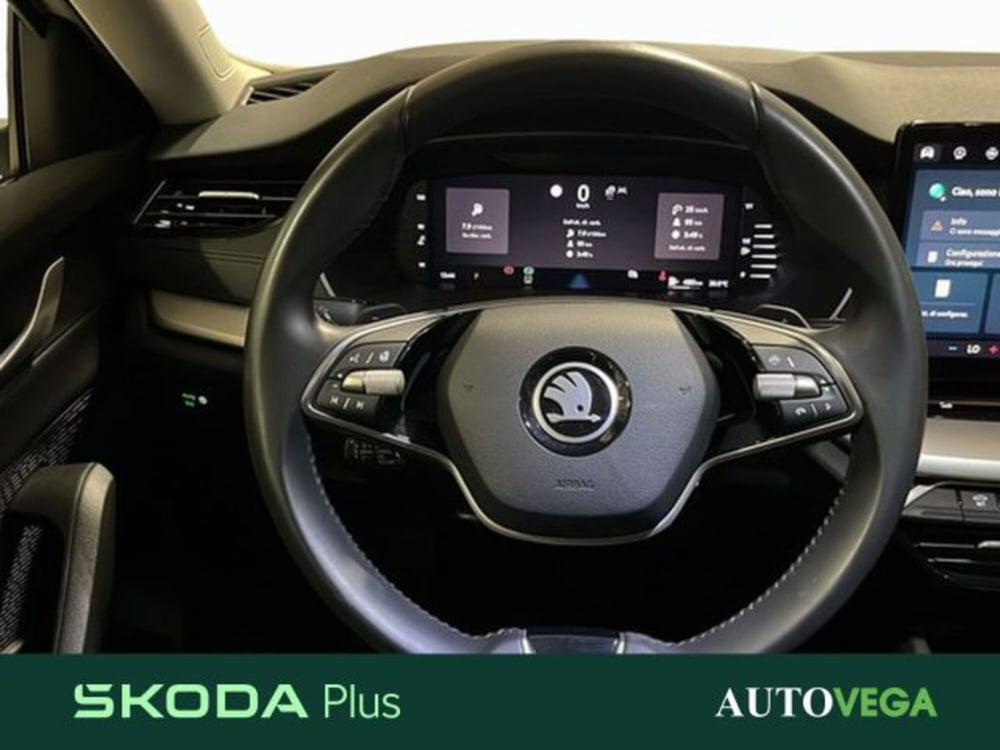 Skoda Octavia Station Wagon usata a Vicenza (9)