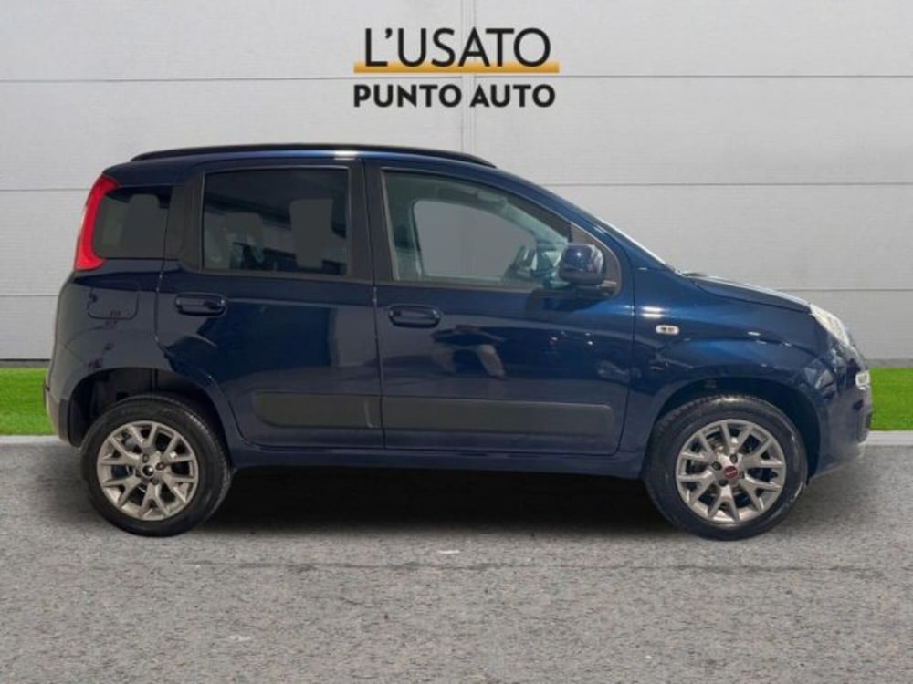 Fiat Panda usata a Ancona (3)