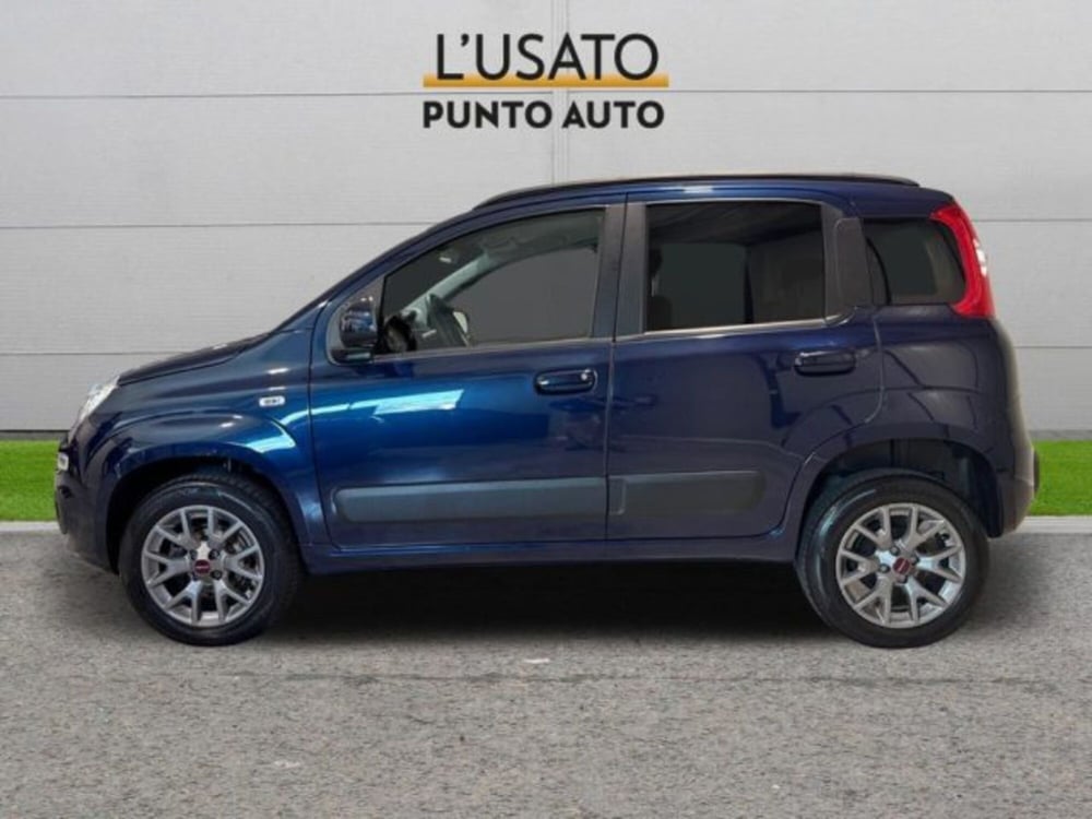 Fiat Panda usata a Ancona (4)