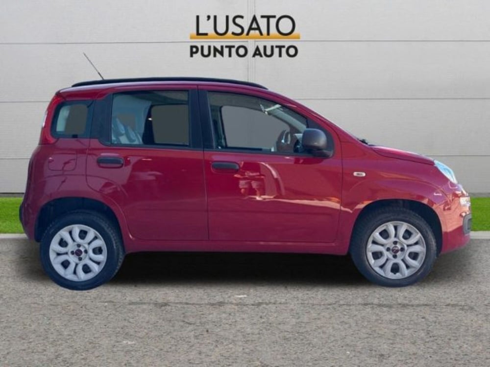 Fiat Panda usata a Ancona (3)