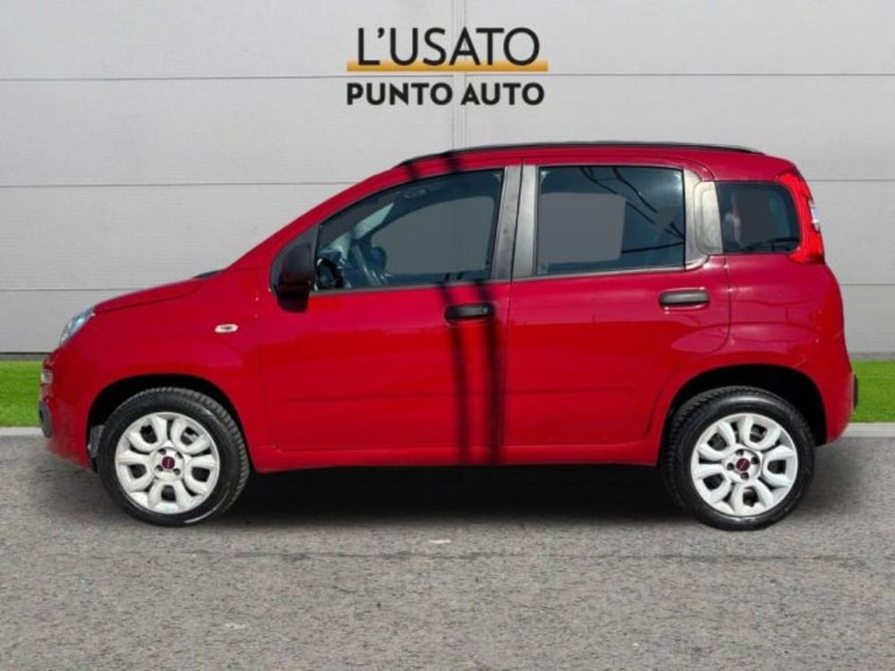Fiat Panda usata a Ancona (4)