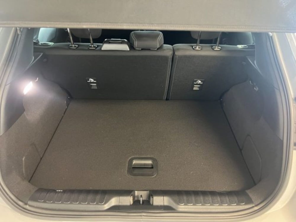 Ford Puma usata a Cuneo (16)