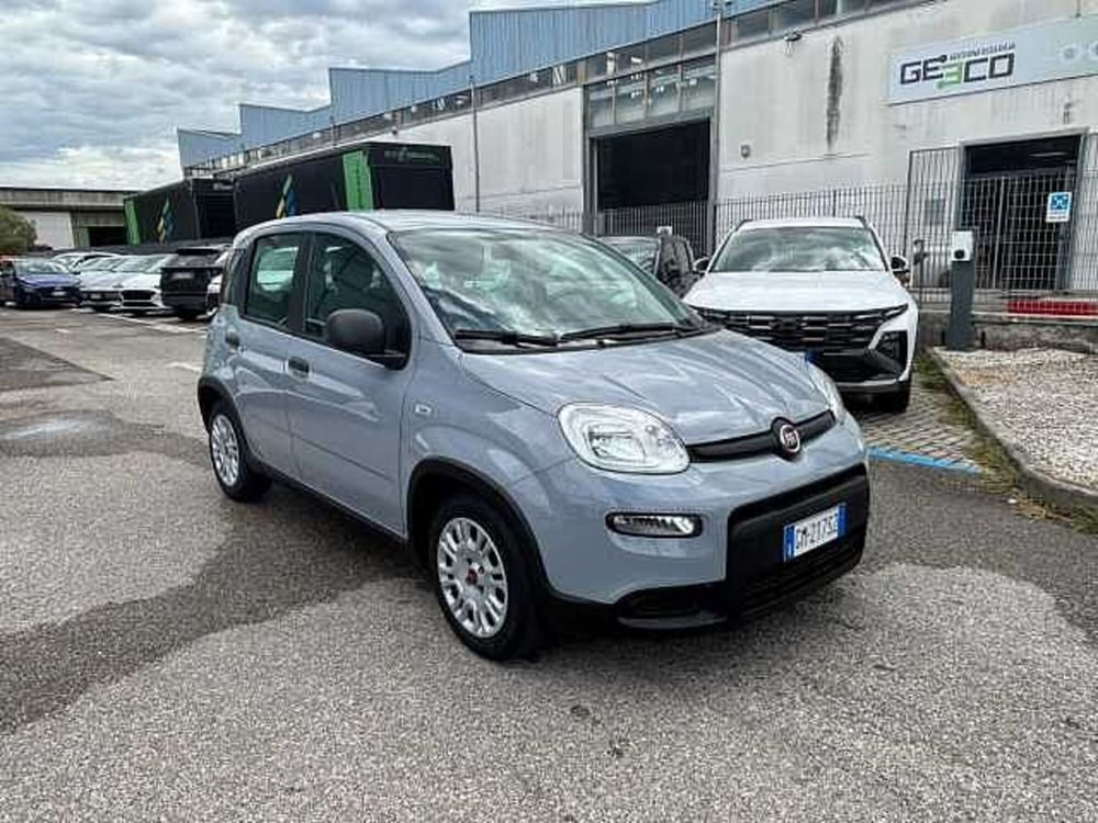Fiat Panda Cross usata a Firenze (11)