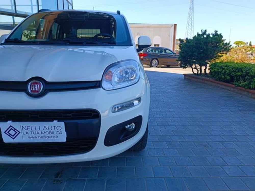 Fiat Panda usata a Pisa (17)