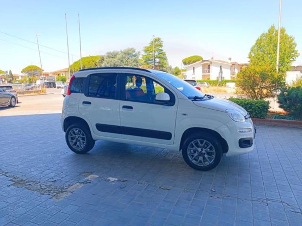 Fiat Panda usata a Pisa (3)