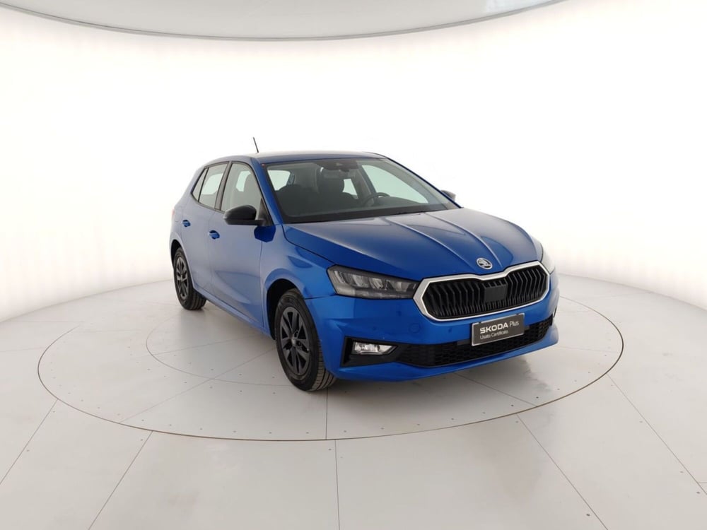 Skoda Fabia usata a Massa-Carrara (4)