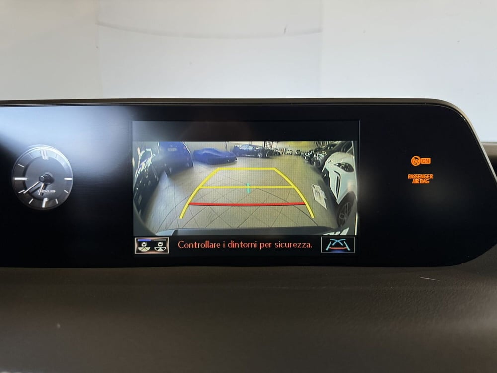 Lexus UX usata a Monza e Brianza (10)