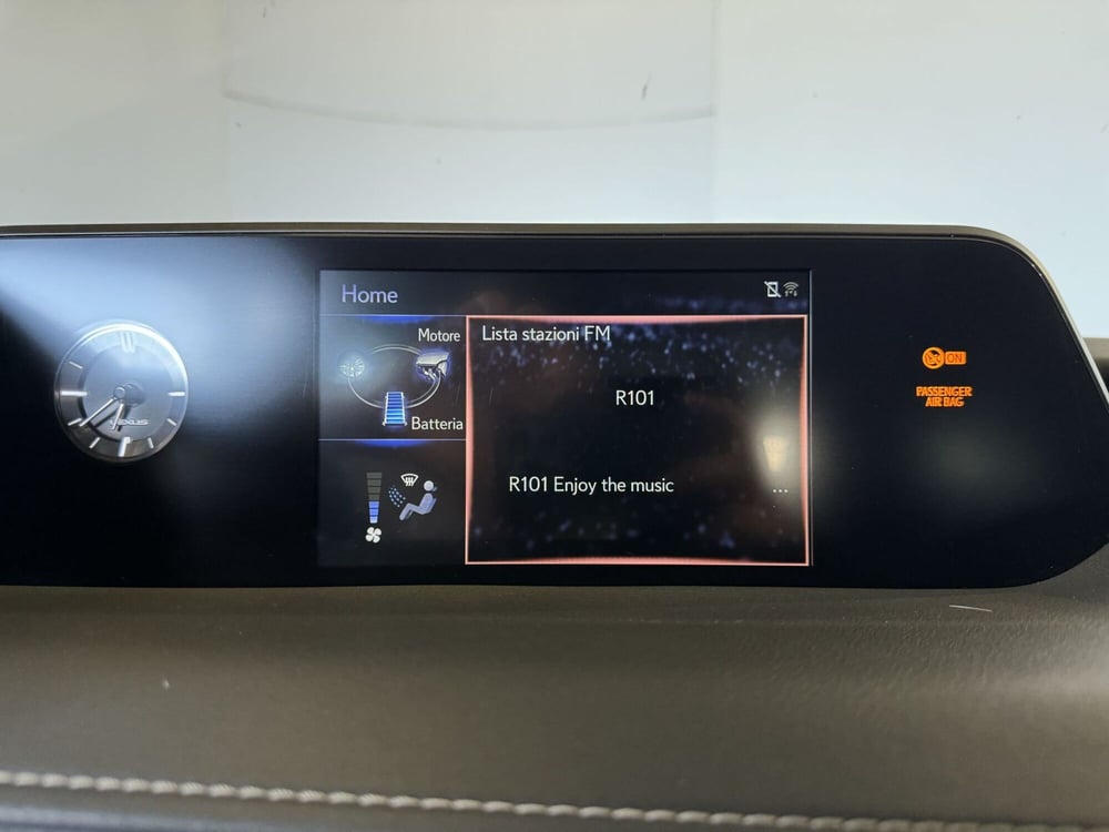 Lexus UX usata a Monza e Brianza (11)