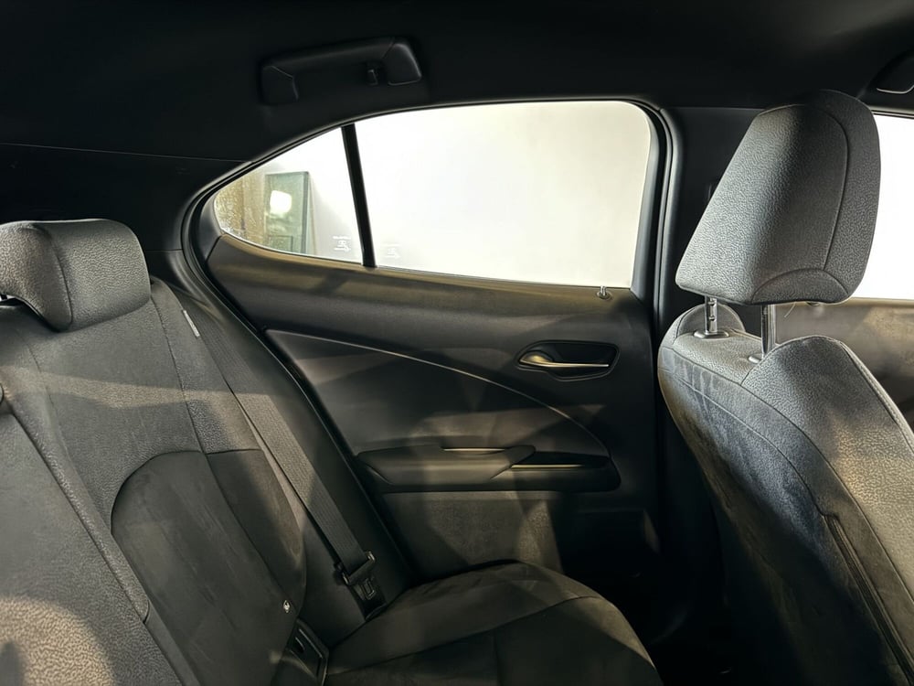 Lexus UX usata a Monza e Brianza (13)
