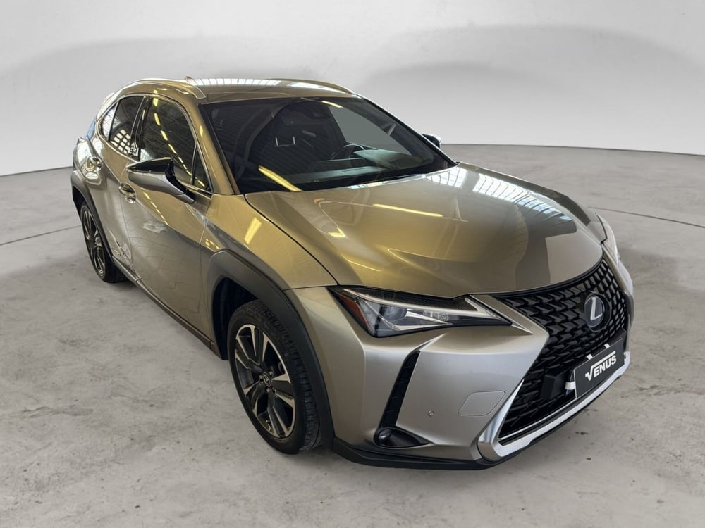 Lexus UX usata a Monza e Brianza (14)