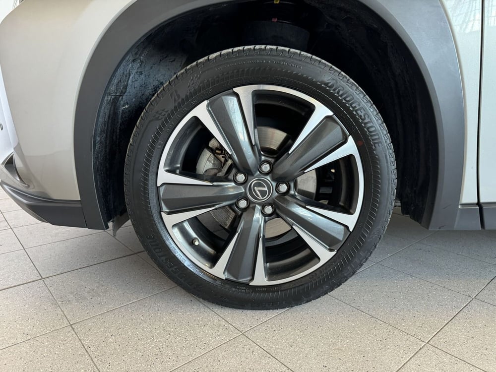 Lexus UX usata a Monza e Brianza (17)