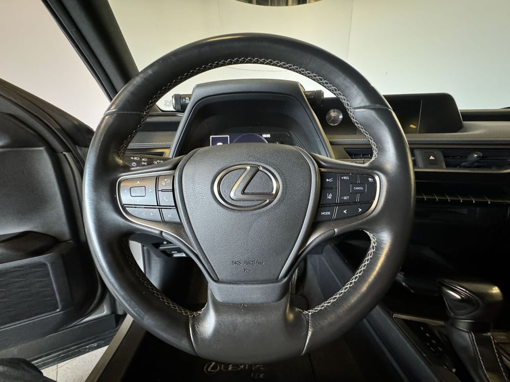 Lexus UX usata a Monza e Brianza (18)