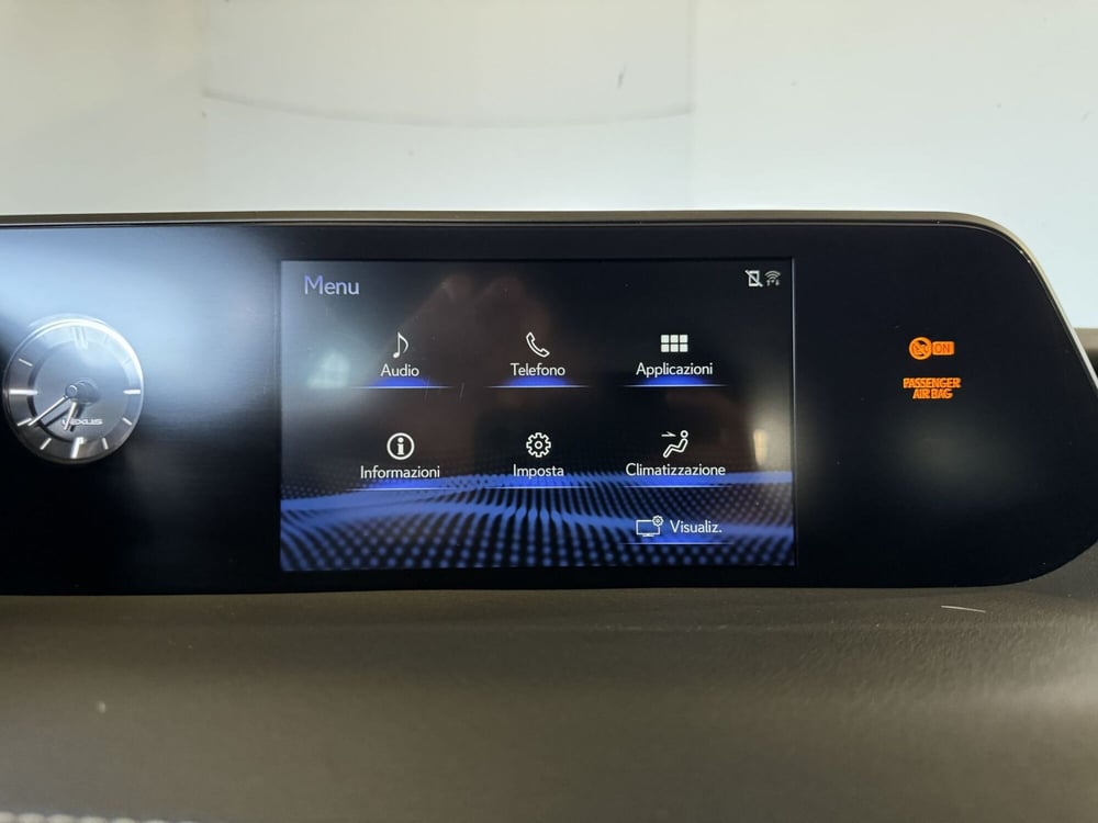Lexus UX usata a Monza e Brianza (20)