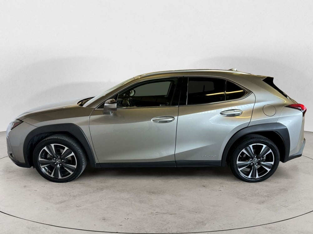 Lexus UX usata a Monza e Brianza (3)