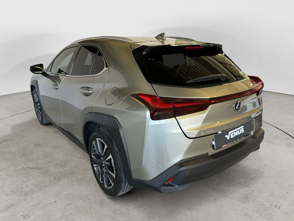 Lexus UX usata a Monza e Brianza (4)