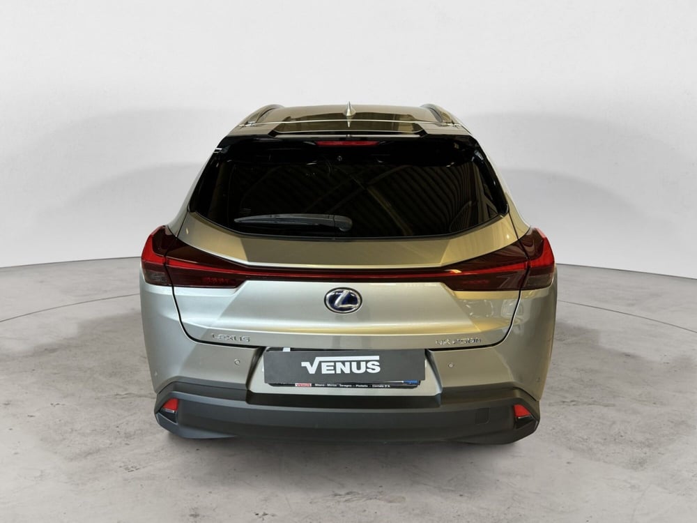 Lexus UX usata a Monza e Brianza (5)